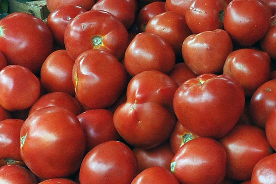 Можно ли вырастить крупноплодные томаты в открытом грунте? Отвечаем!