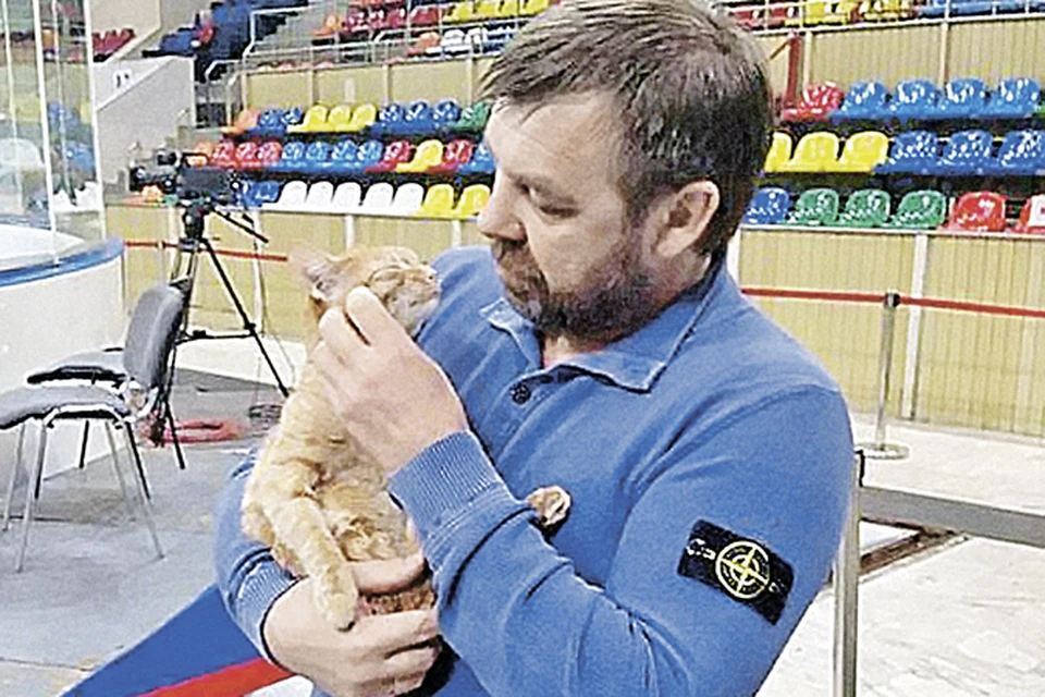 О нежной любви рыжей кошки Машки и Олега Валерьевича ходят легенды. Киса живет в «Лужниках» и помогает тренеру снять стресс после игры.