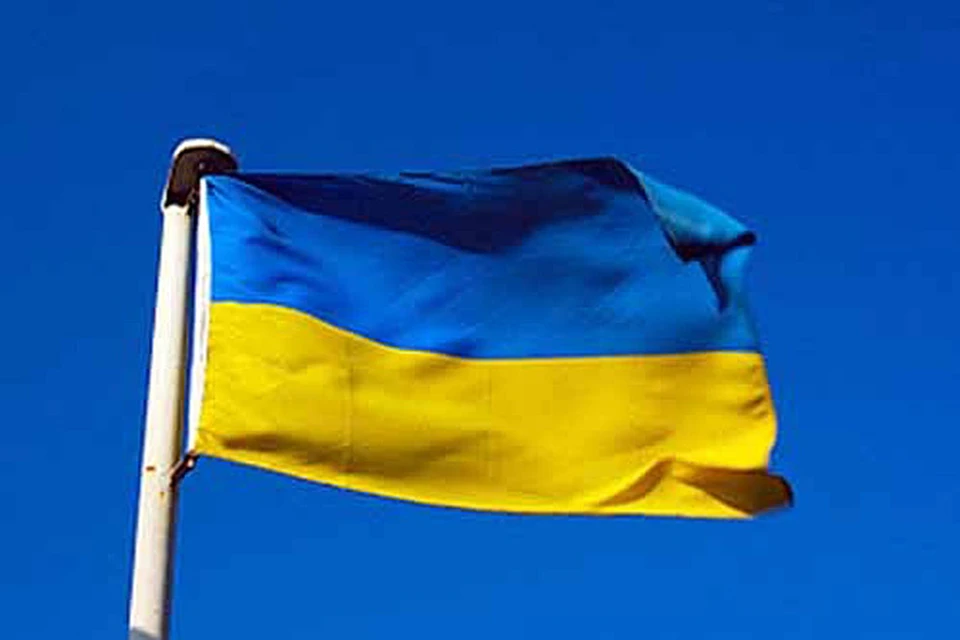 Геральдисты утверждают, что нынешнее расположение цветов несет угрозу для страны