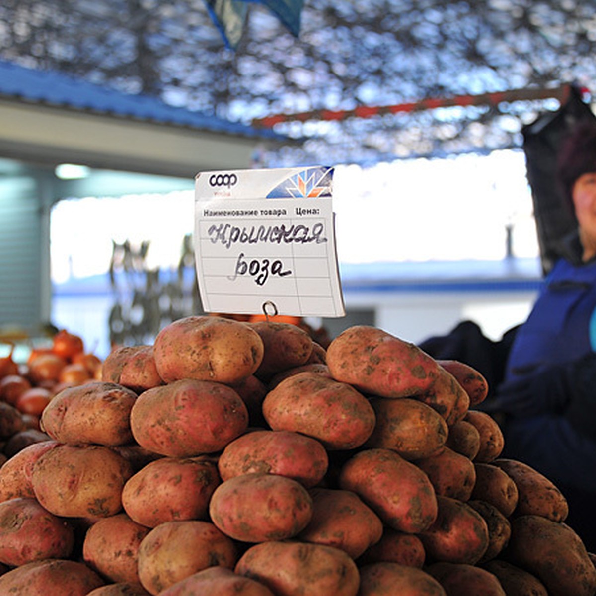 Выбираем картофель: для варки, жарки и хранения - KP.RU