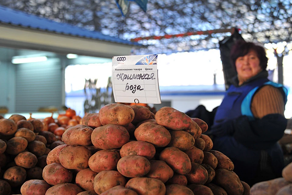 Если вы покупаете картофель для зимнего хранения, лучше выбрать не один сорт, а минимум 2-3