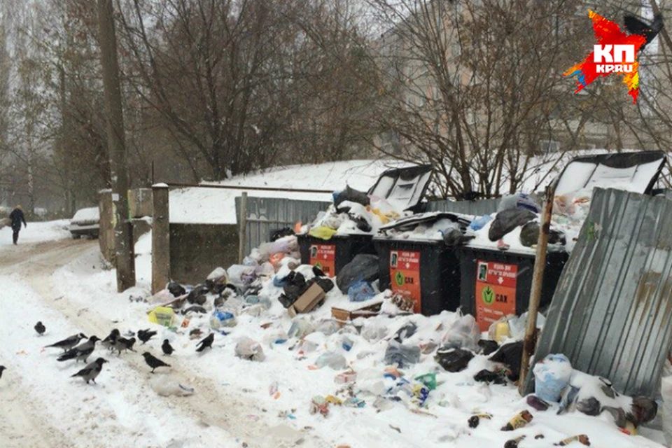 Мусор пообещали вывезти уже сегодня