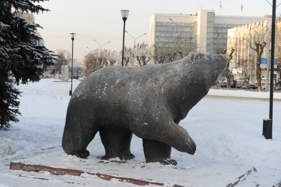 Пермский медведь фото