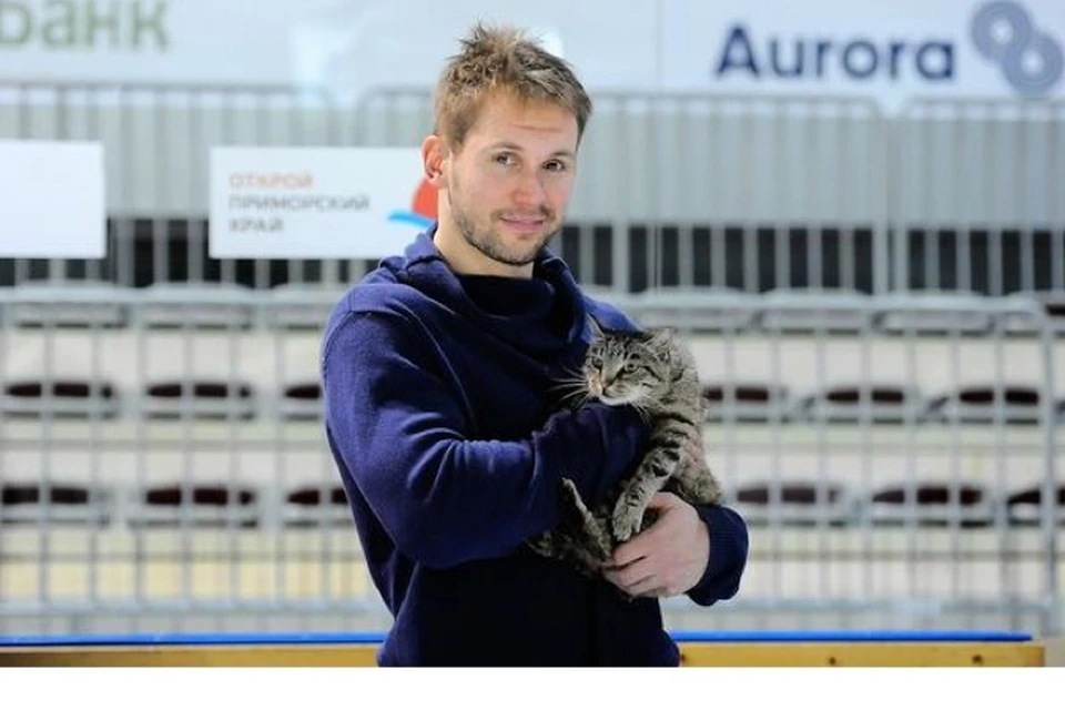 Шведский нападающий "Адмирала" Никлас Бергфорс вырос с тремя кошками - Снурра, Сага и Густав. Может, возьмет и Матроску к себе? Фото twitter клуба.