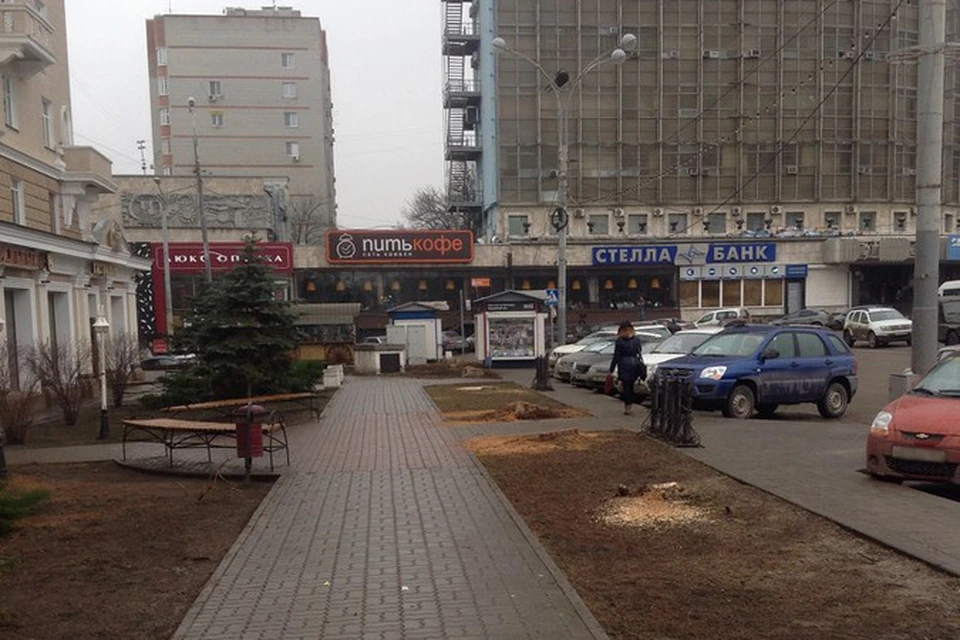 Владимир Брынько сфотографировал то, что осталось от деревьев перед гастрономом "Театральный"