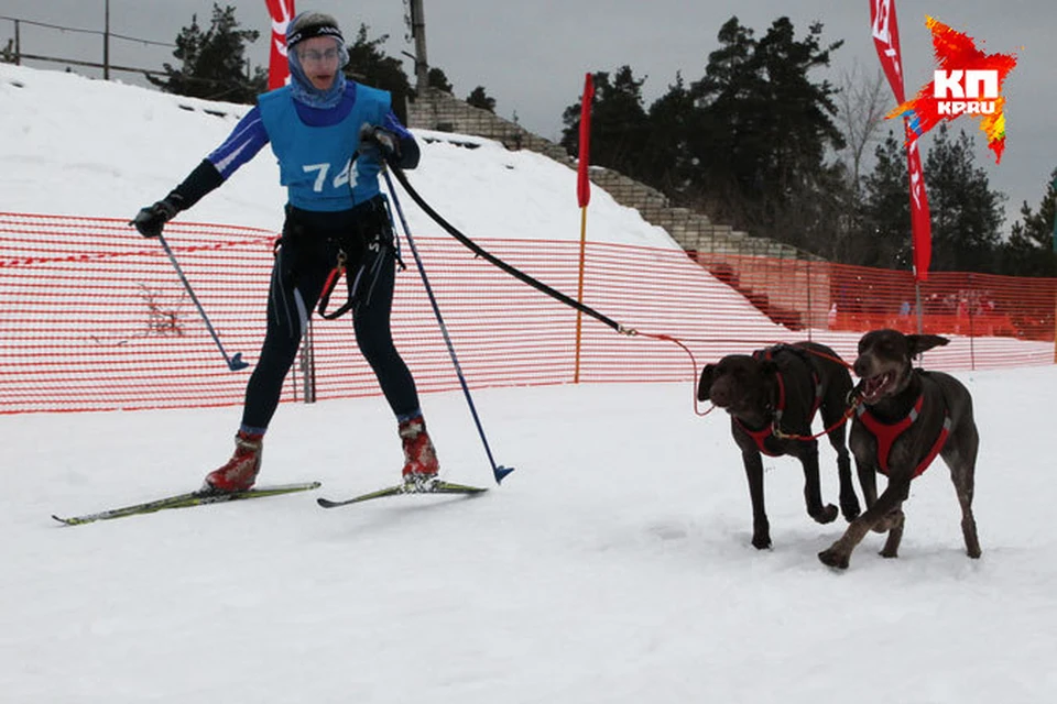 В Володарском районе Нижегородской области состоялись Всероссийские гонки на собачьих упряжках «Зимняя сказка – 2015».