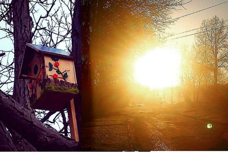 Весенний Симферополь в объективах мобильных телефонов