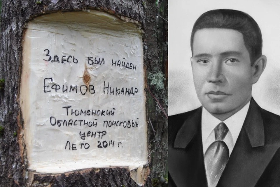 В 1942 году родным Никандра Ефимова сообщили, что он пропал без вести. Поисковики нашли его у села Мясной Бор в августе 2014 года.
