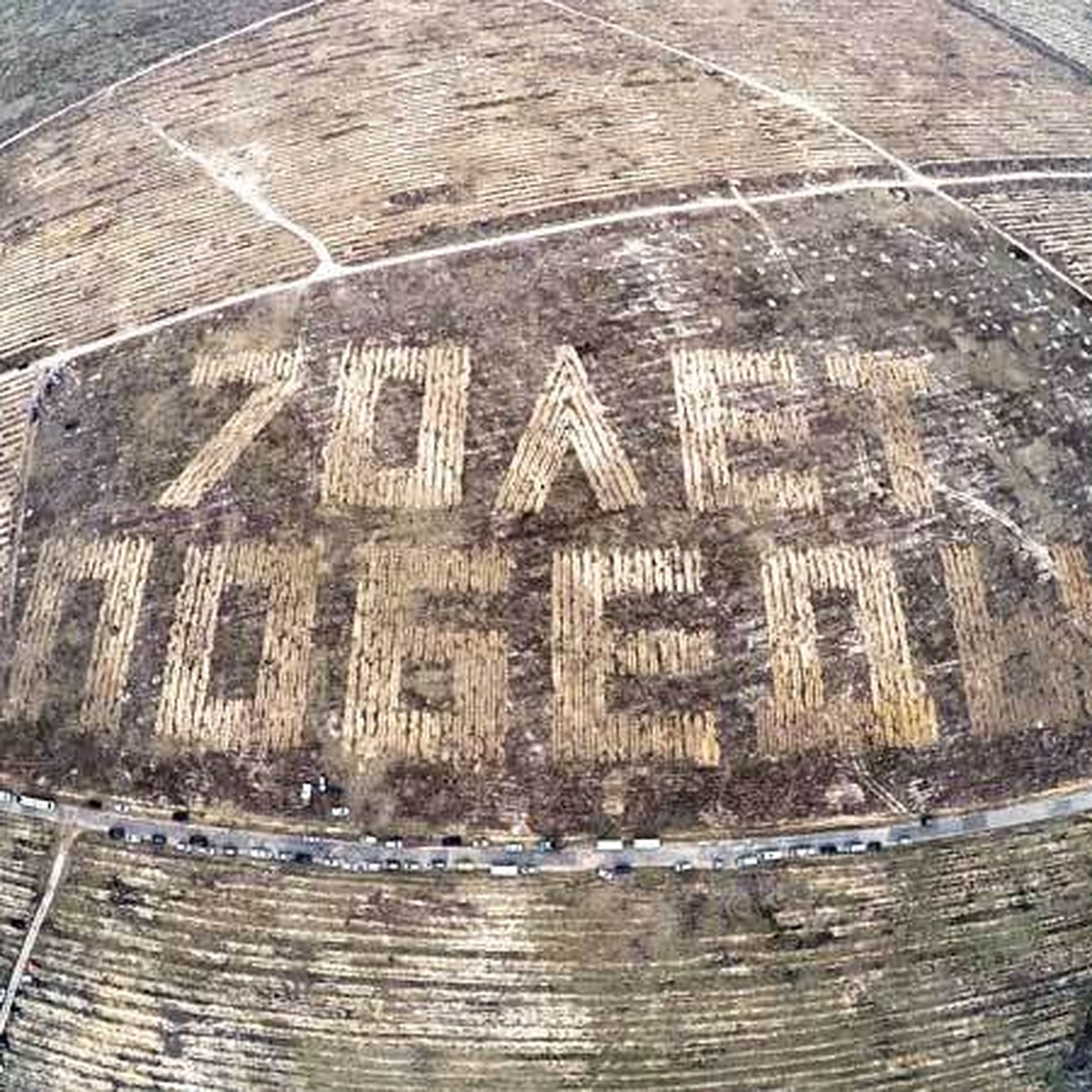 В Воронеже появился геоглиф «70 лет победы», который можно увидеть только с  воздуха - KP.RU