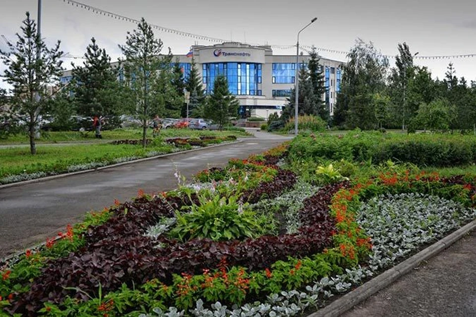 Сайты садов омска. Сад Сибирь Омск фото. Город сад Омск парк. Омск сквер Серова зима. Территория городского сада в городе Омске фото.