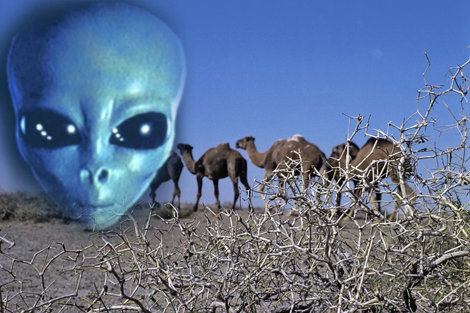 Прилета пришельцев ожидали в пустыне Кызылкум (Узбекистан).