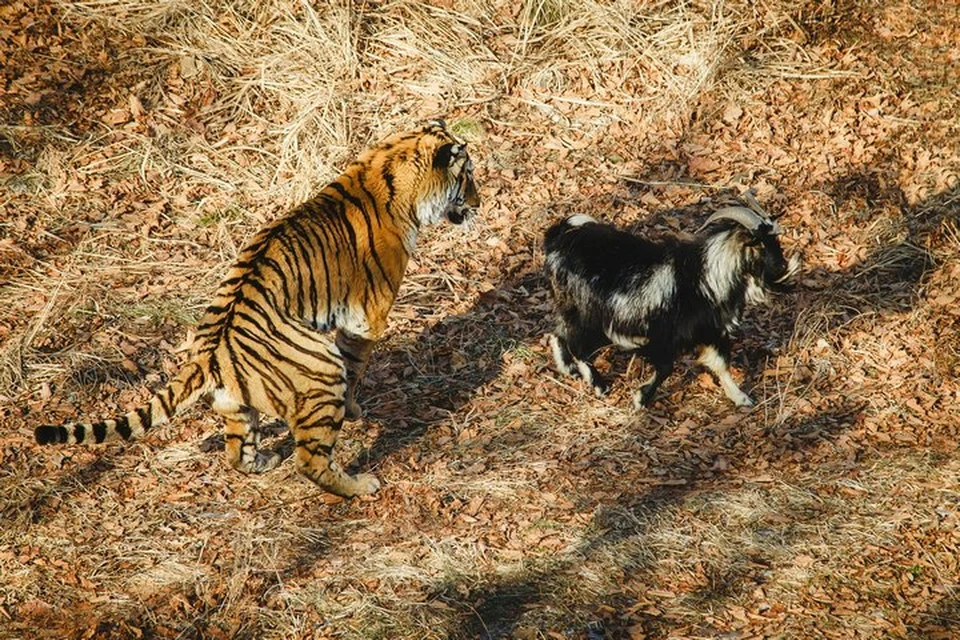 Фото: Анастасия ЕСАУЛЕНКО