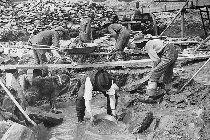 Экономический подъём США в начале XX века во многом состоялся благодаря Клондайку