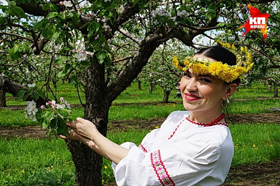 Под Острогожском в мае проходит фестиваль "Цветущая яблоня".