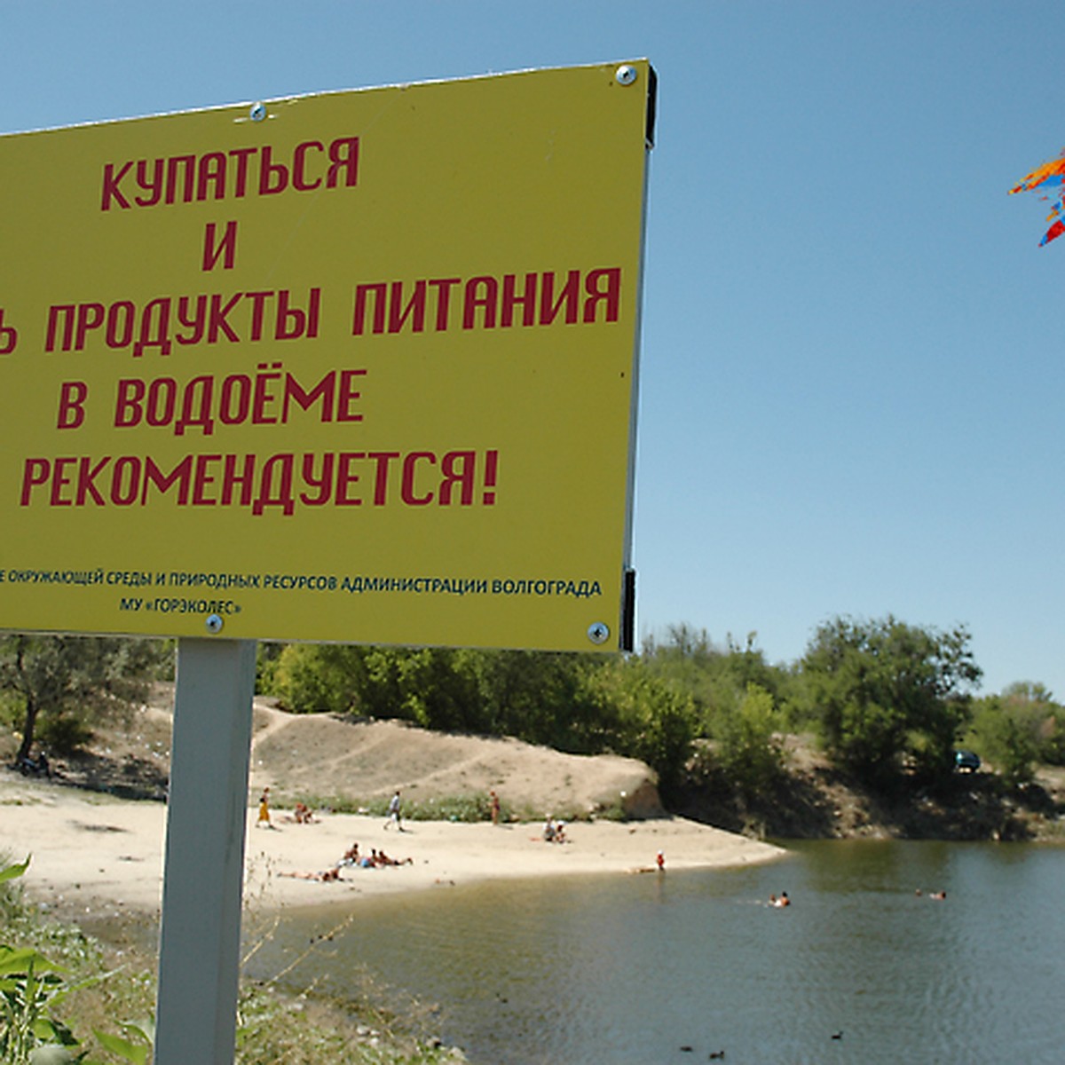 В Волгограде опасно купаться в Ангарском пруду, на Красном и Спартановке -  KP.RU