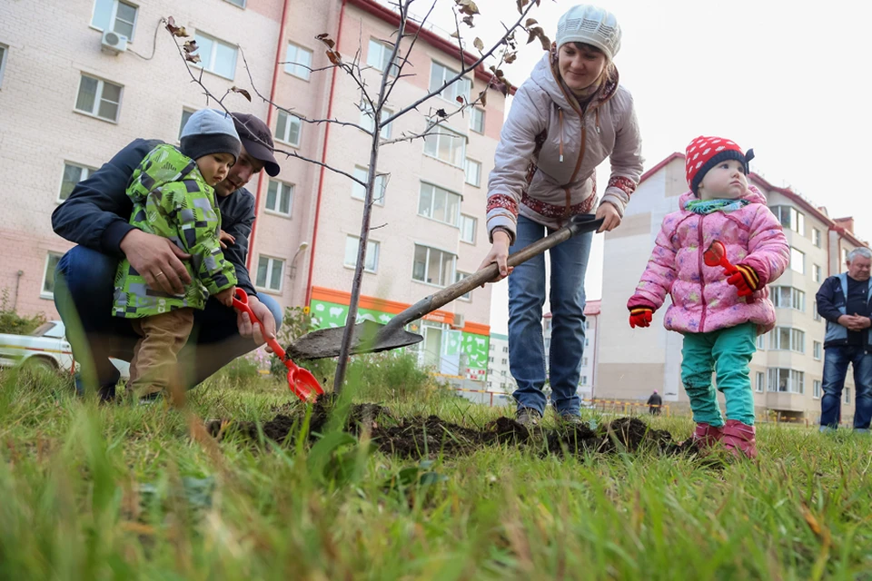 Подслушано чурилово. Чурилово Яблоневый. Сквер в Чурилово.