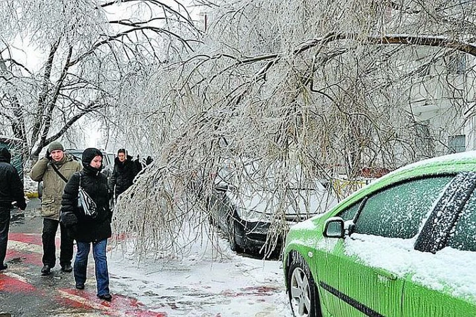 Под Москвой из-за ледяного дождя оборвало десятки километров линий электросети.