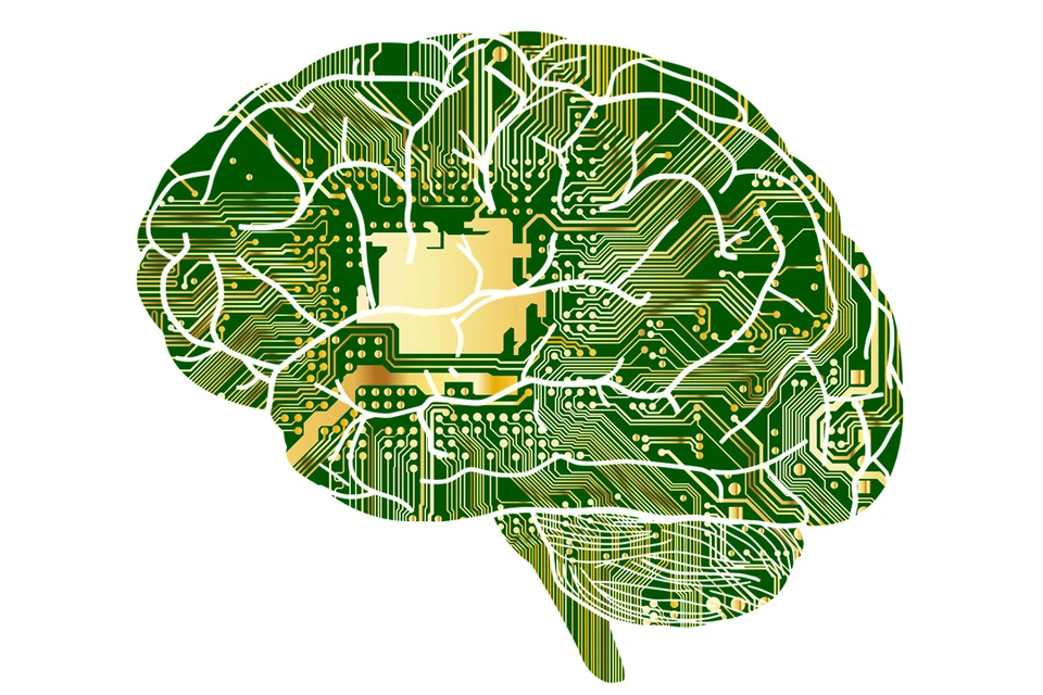 Одна из передовых разработок - технология "мозг - компьютер - интерфейс": она позволяет управлять обездвиженными конечностями и даже предметами силой мысли.