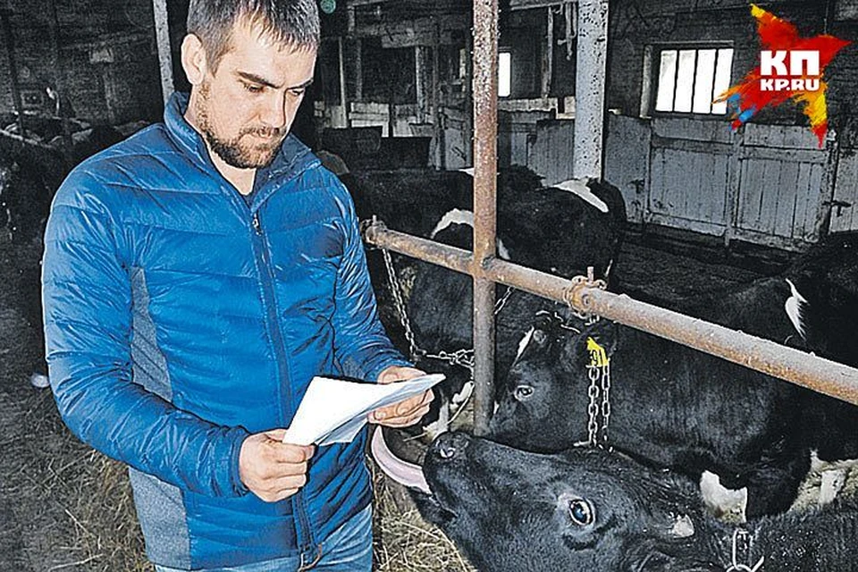 Фермера из Камышлова Ивана Черемных оштрафовали на 200 тысяч за незаконное предпринимательство, но тут же простили