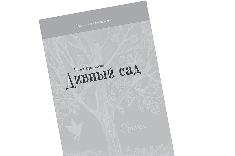 Книга стать богом