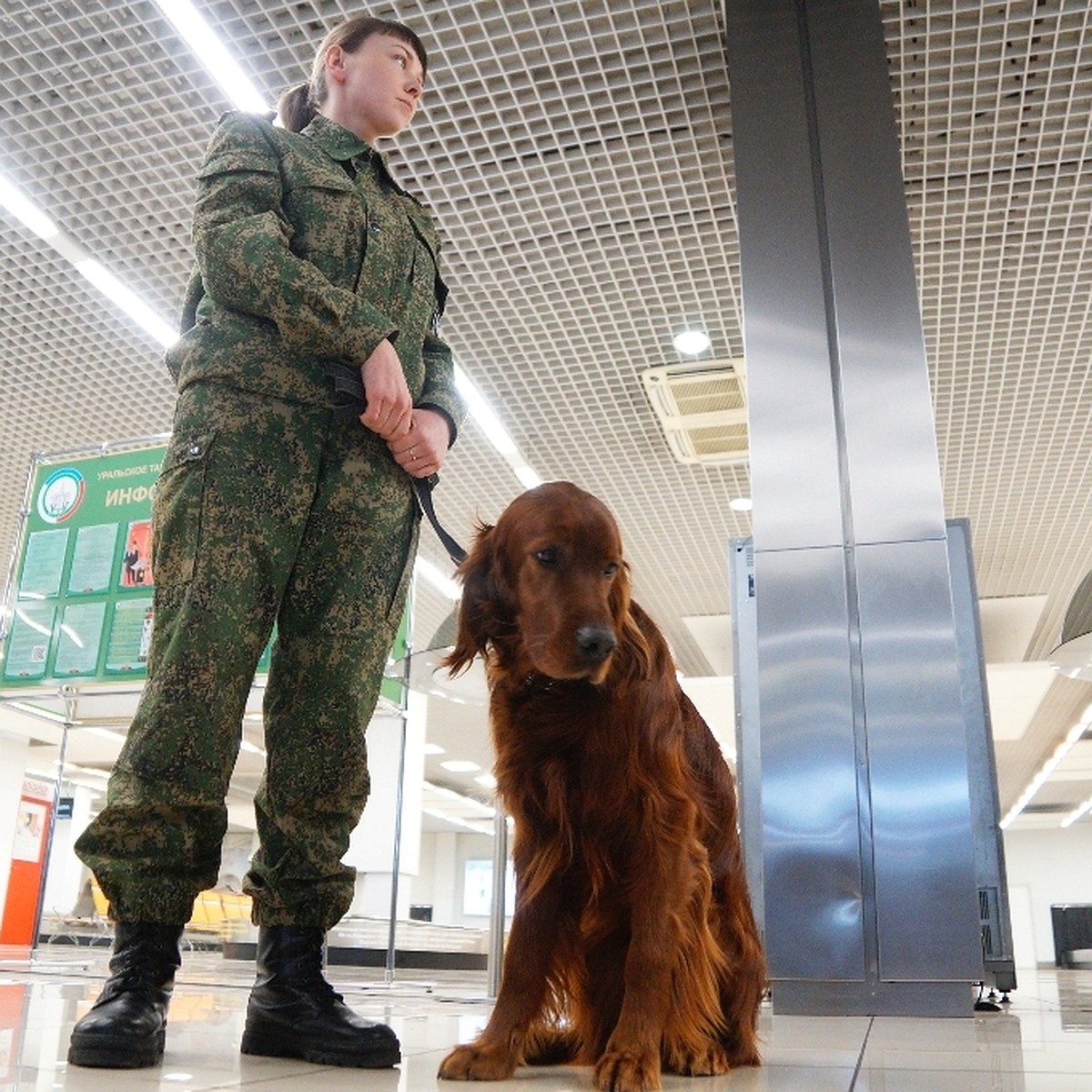 Как таможня заставляла корреспондента «КП» наркотики в аэропорт «Кольцово»  проносить - KP.RU