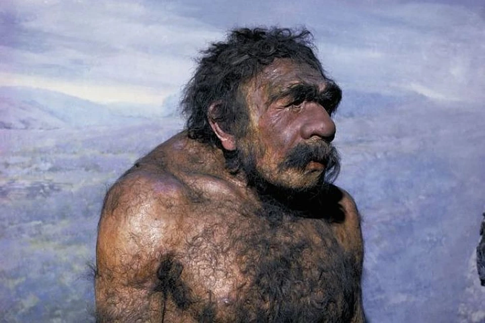 Палеонтологи утверждают, что часть неандертальцев была вегетарианцами, а часть употребляла в пищу мясо