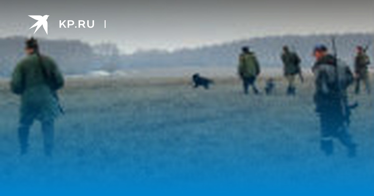 Кто и как будет охранять диких животных в Самарской области? - KP.RU