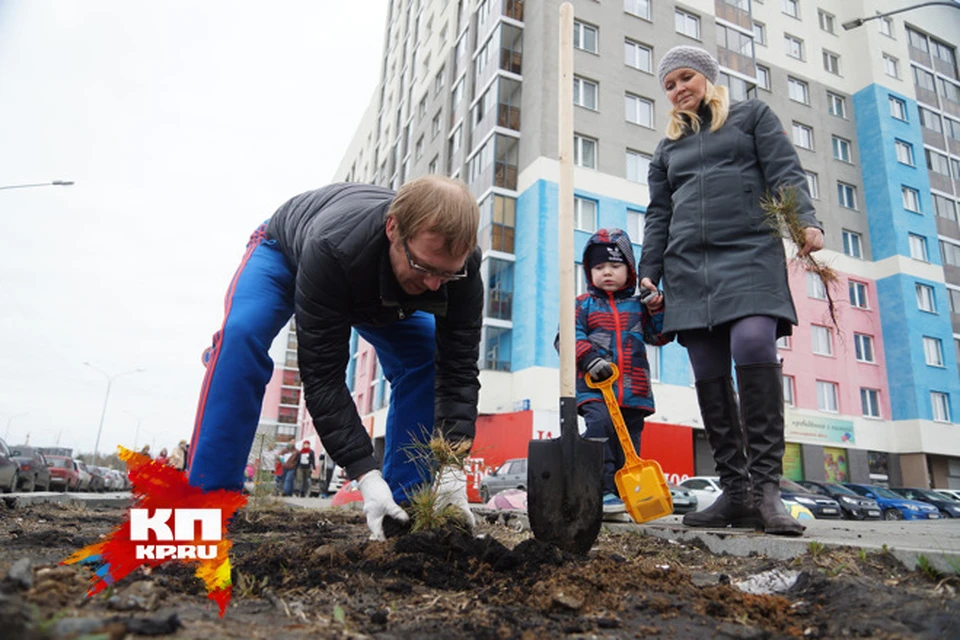 Екатеринбуржцы высадили сотни деревьев в рамках акции "Лес победы"