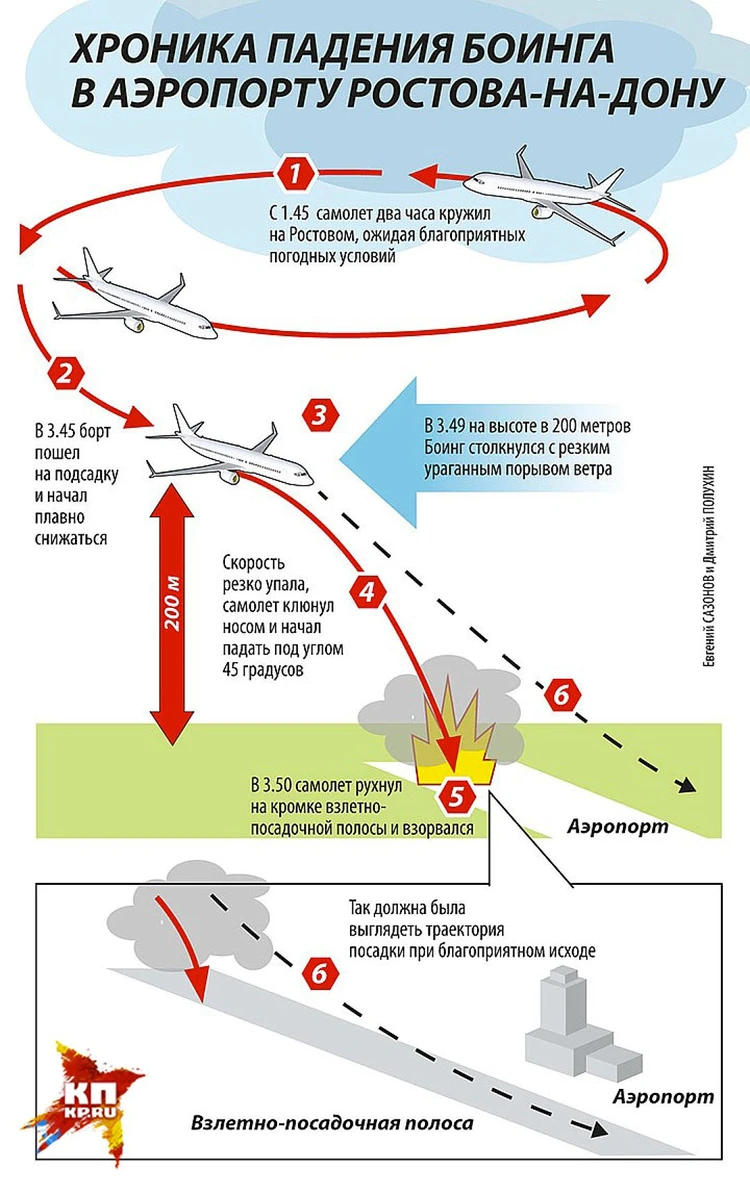 Год авиакатастрофе в Ростове-на-Дону: Пилот 