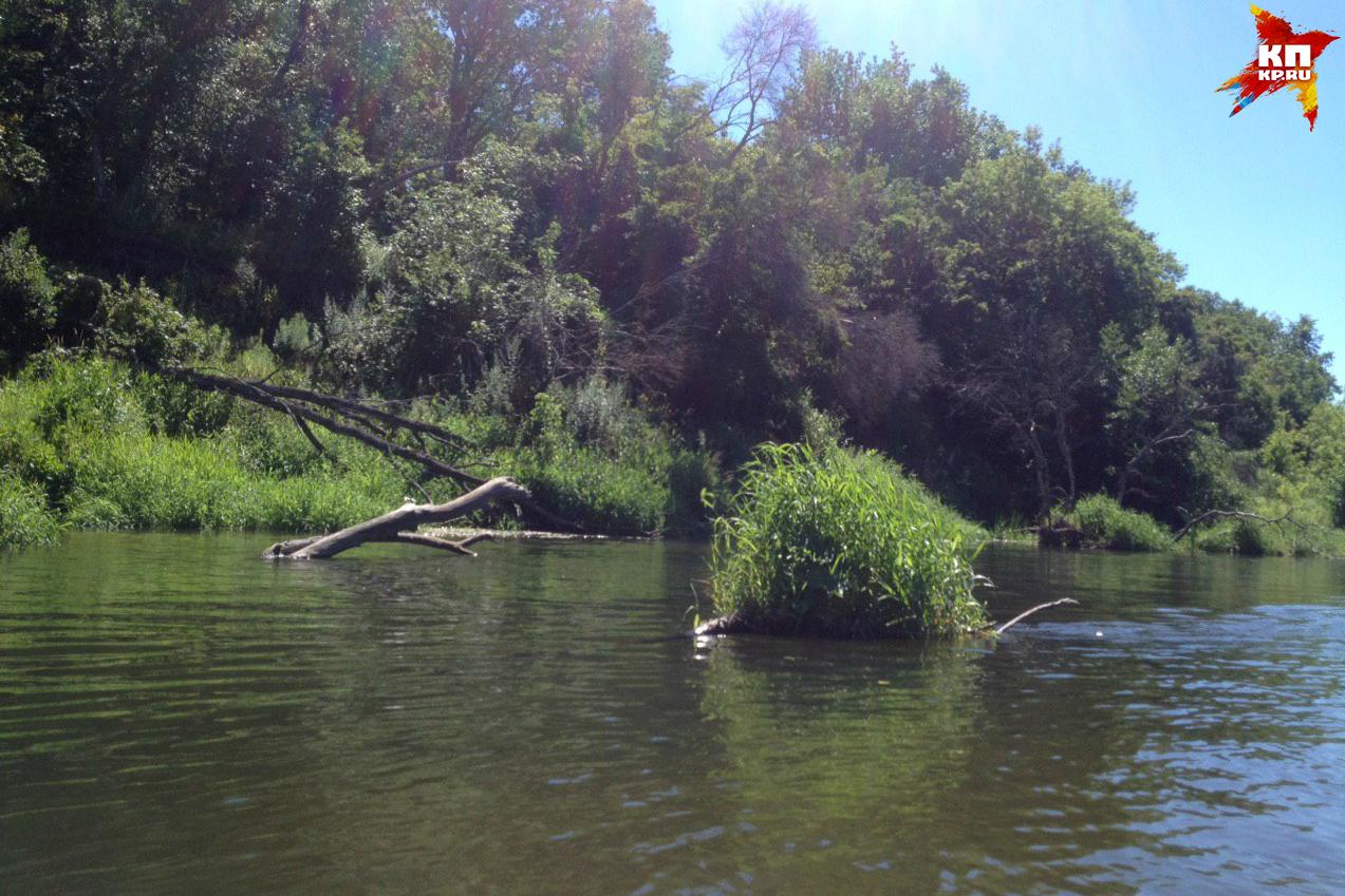 Коряги и заросшие островки приходится огибать стороной.