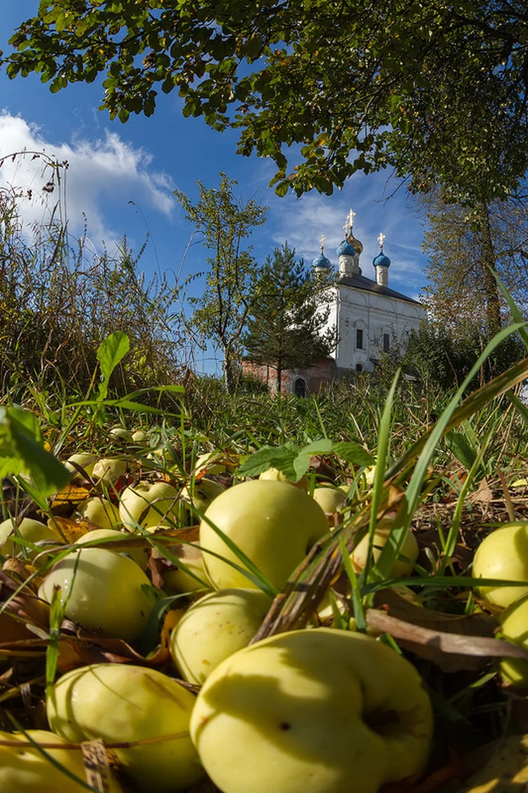 Александров - KP.RU