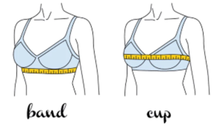 Форма и размер идеальной груди: увеличение груди, пластические операции, пластическая хирургия
