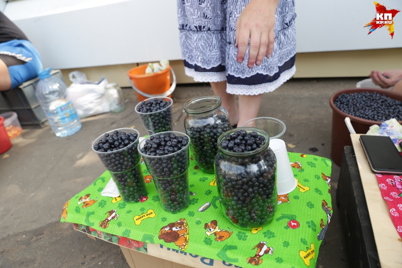 Průměrná cena borůvek je 300 rublů za litr