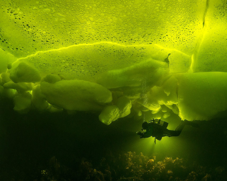 Водная 10. Виктор Лягушкин. Лягушкин фотограф. Виктор Лягушкин фотографии. Федор Лягушкин фотограф.