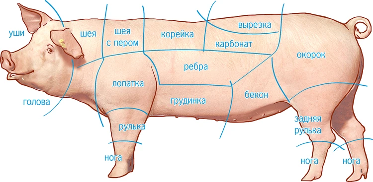 Корейка (карбонад): какая часть туши свиньи и ее характеристики