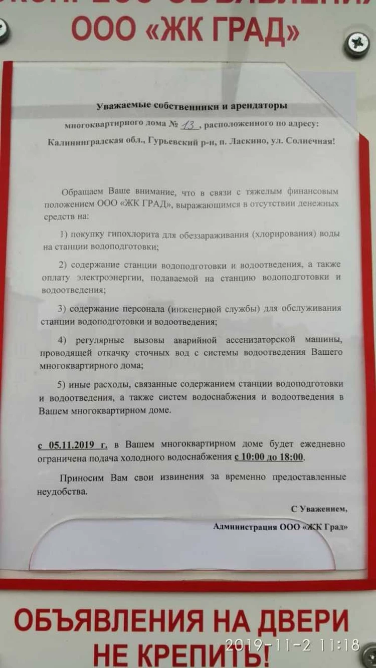 Ты что, сволочь, делаешь?» Почему зампредседателя управляющей компании в  поселке Ласкино прыгнул на жильца Геннадия - KP.RU