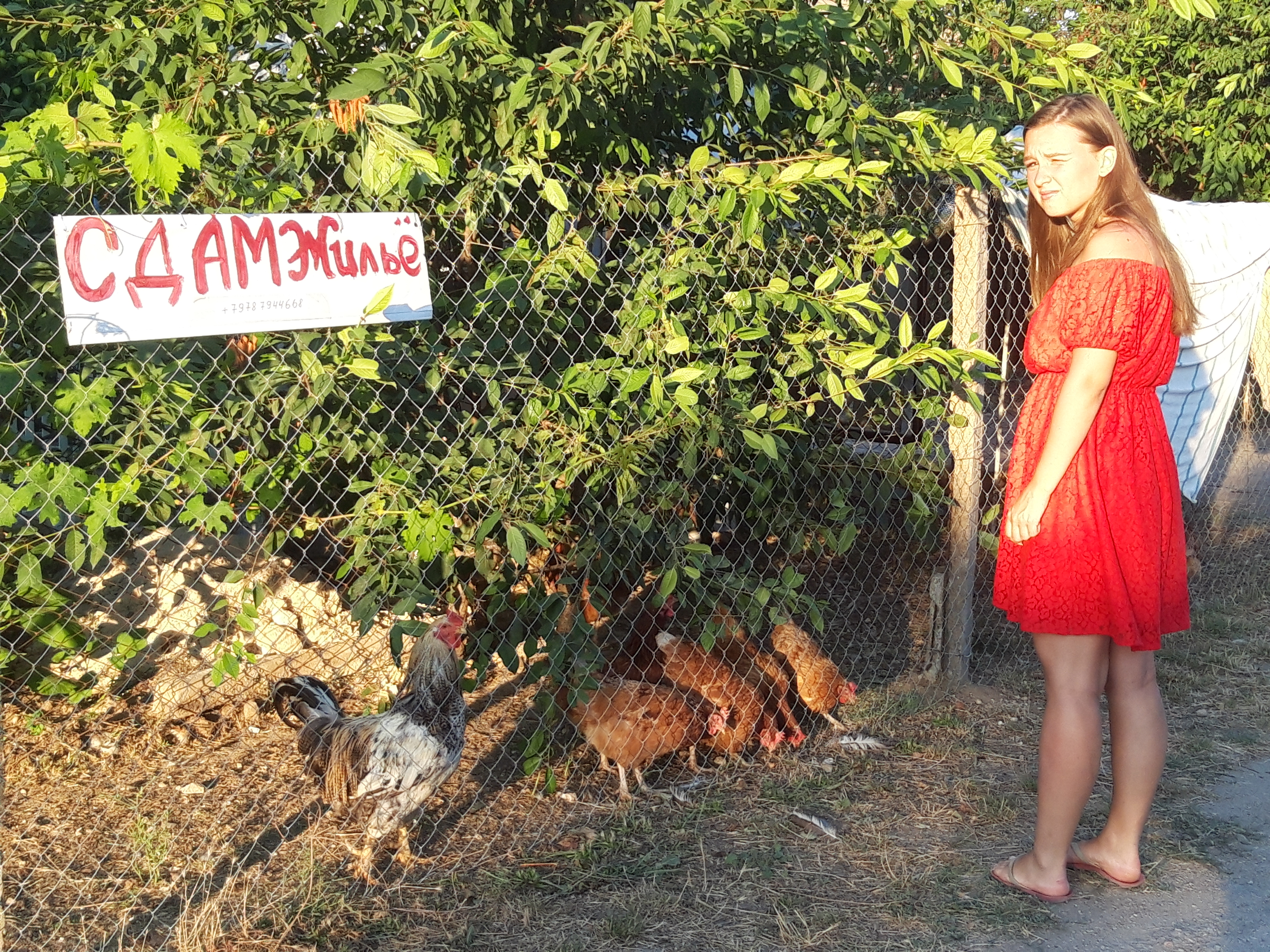 Гостиницы и отели могут находится только в нежилых помещених