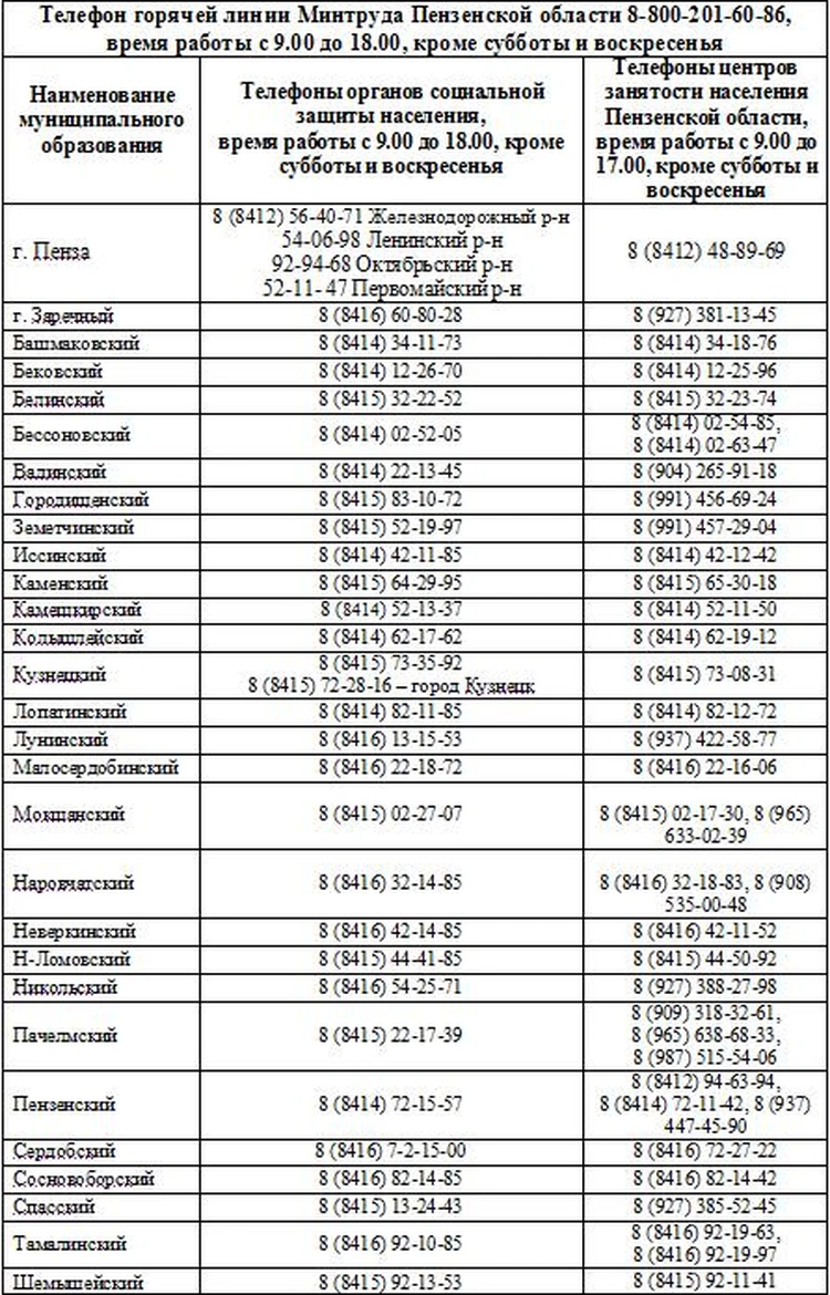 Мамам в Пензенской области будет легче - KP.RU