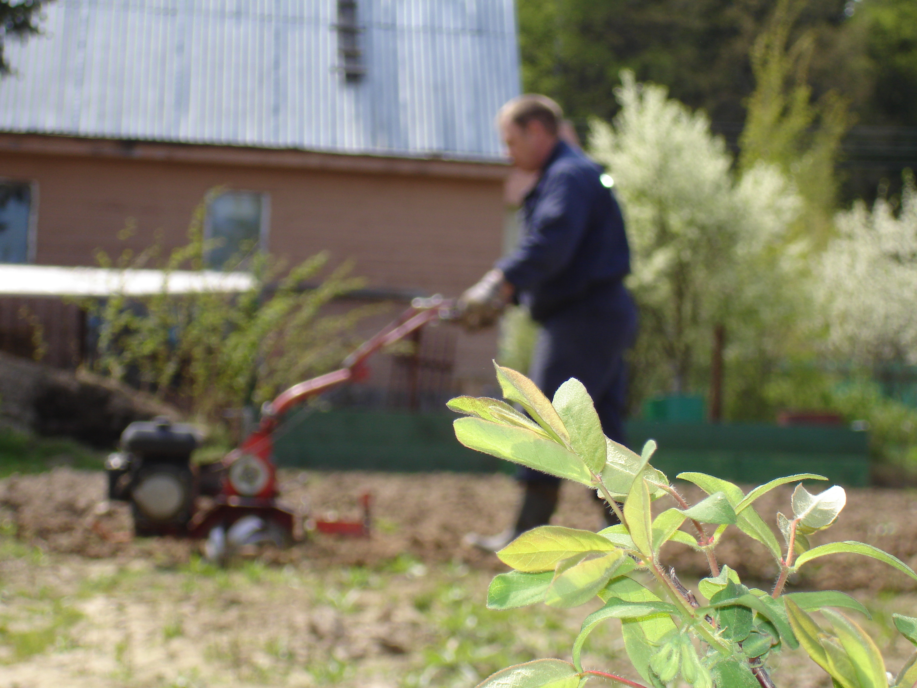 Эксперт уверен, что по итогу немалая часть офисных работников покинет город насовсем и останется в деревне.