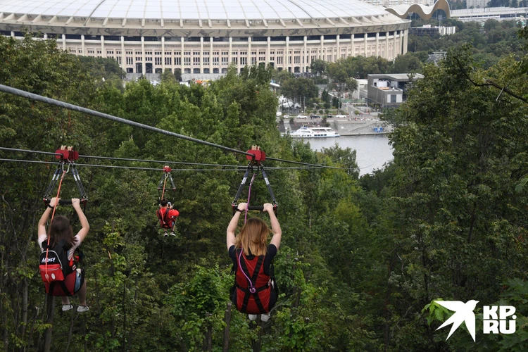 Zipline аттракцион