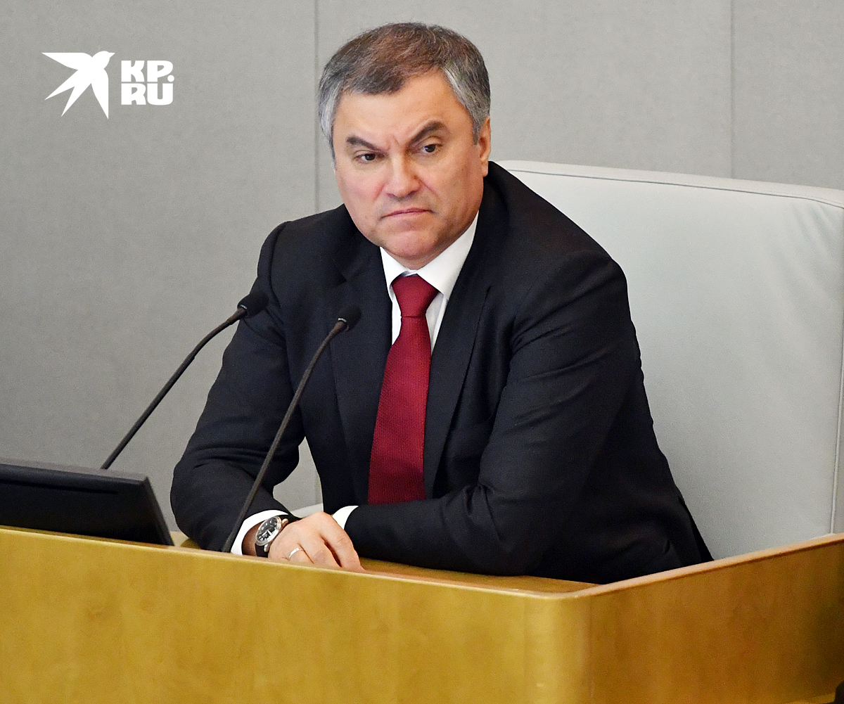 Председатель госдумы Володин Вячеслав Викторович указал доход в 100,3 миллиона рублей