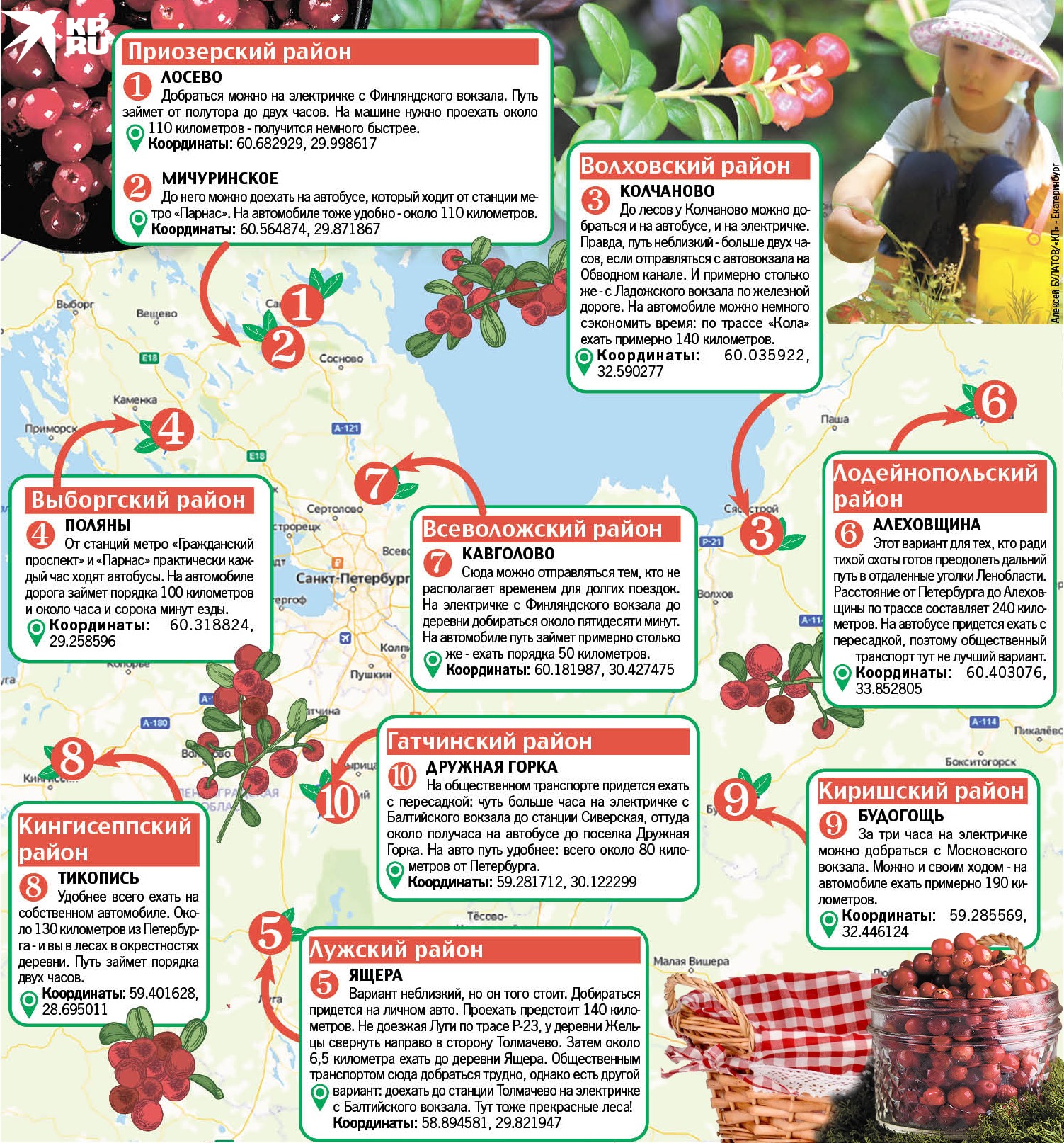 Грибная карта ленинградской области