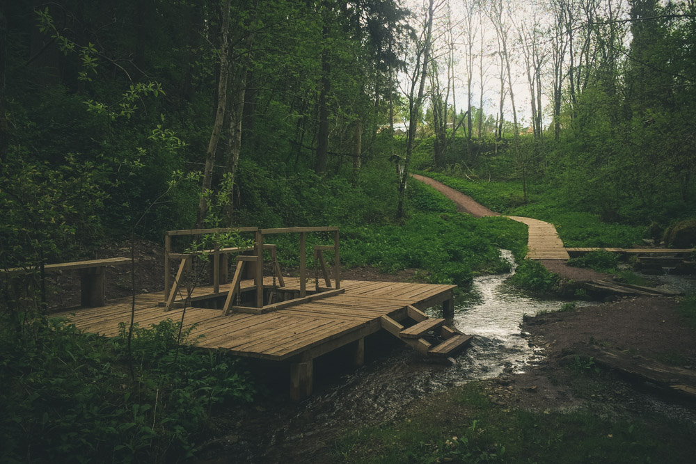 Два небольших водоема интересны своим химическим составом. Фото: ooptlo.ru