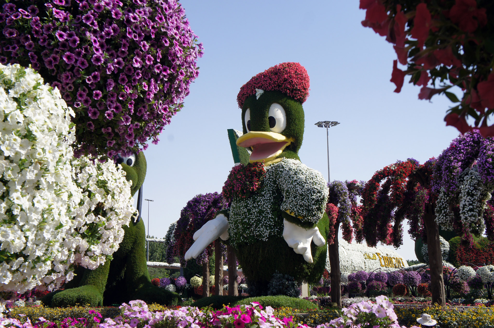 Цветочный сад впечатляет своими размерами