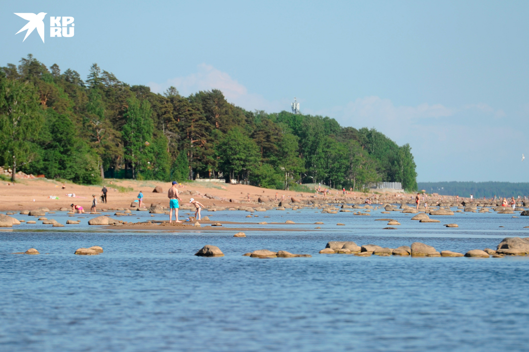 Большой минус для отдыхающих с детьми - здесь нет детских площадок.