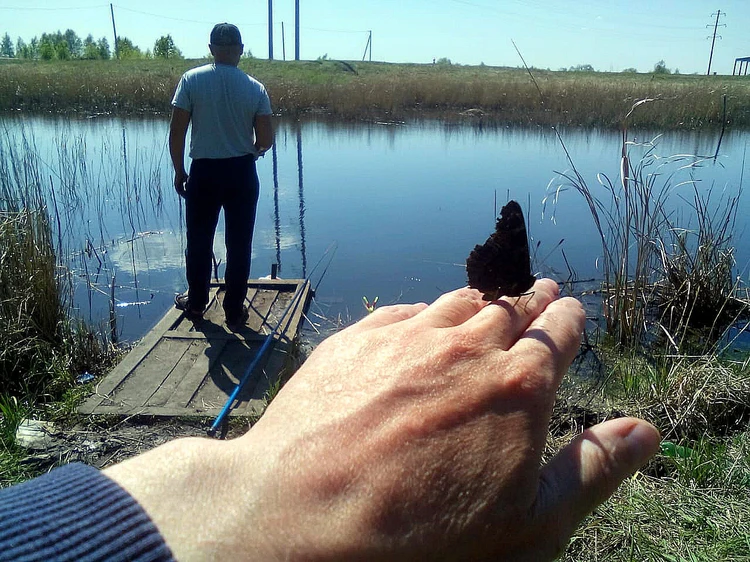 Рыбные места в Омске: лучшие места для рыбалки и отдыха на водоемах