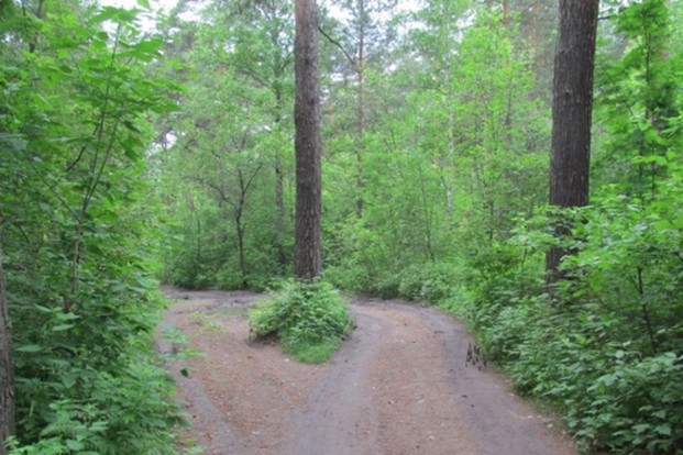 Школьника убили по дороге из туалета. Фото: СК России по Новосибирской области.