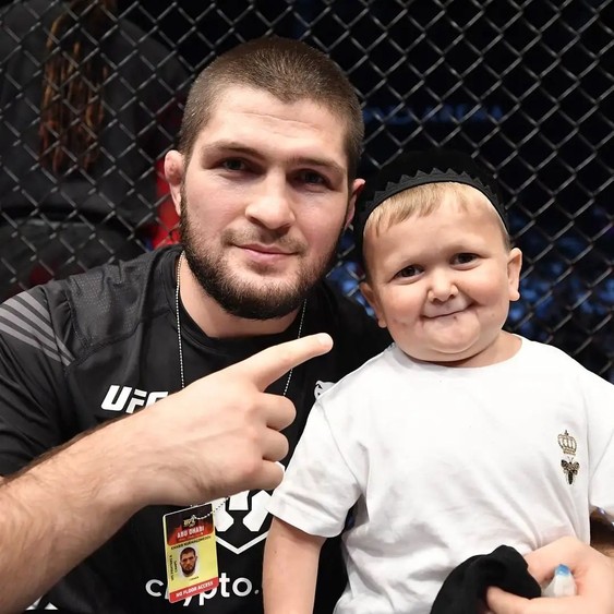 Нфт блогеров