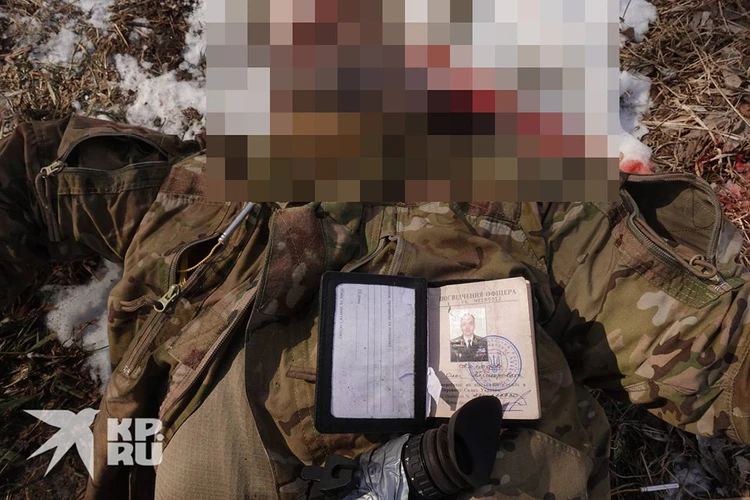 Под Киевом уничтожили полковника ВСУ, причастного к организации терактов в России  Wr-750
