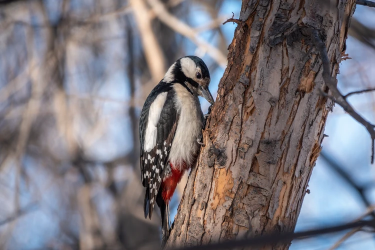 Губка из жидкости и воздуха